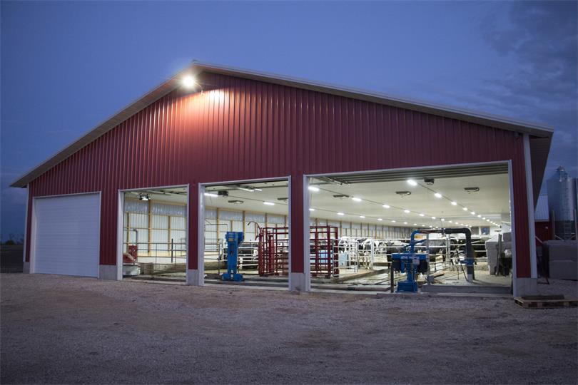 小圖 AMB ZL Style Farm Pendant Highbay_Dairy Cattle Farm (1).jpg