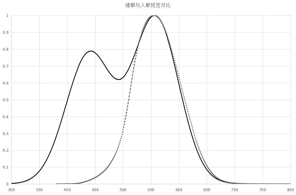 豬眼與人眼視覺(jué)對(duì)比.jpg