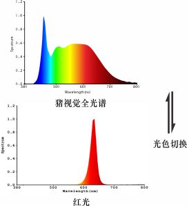 養(yǎng)豬光譜.jpg