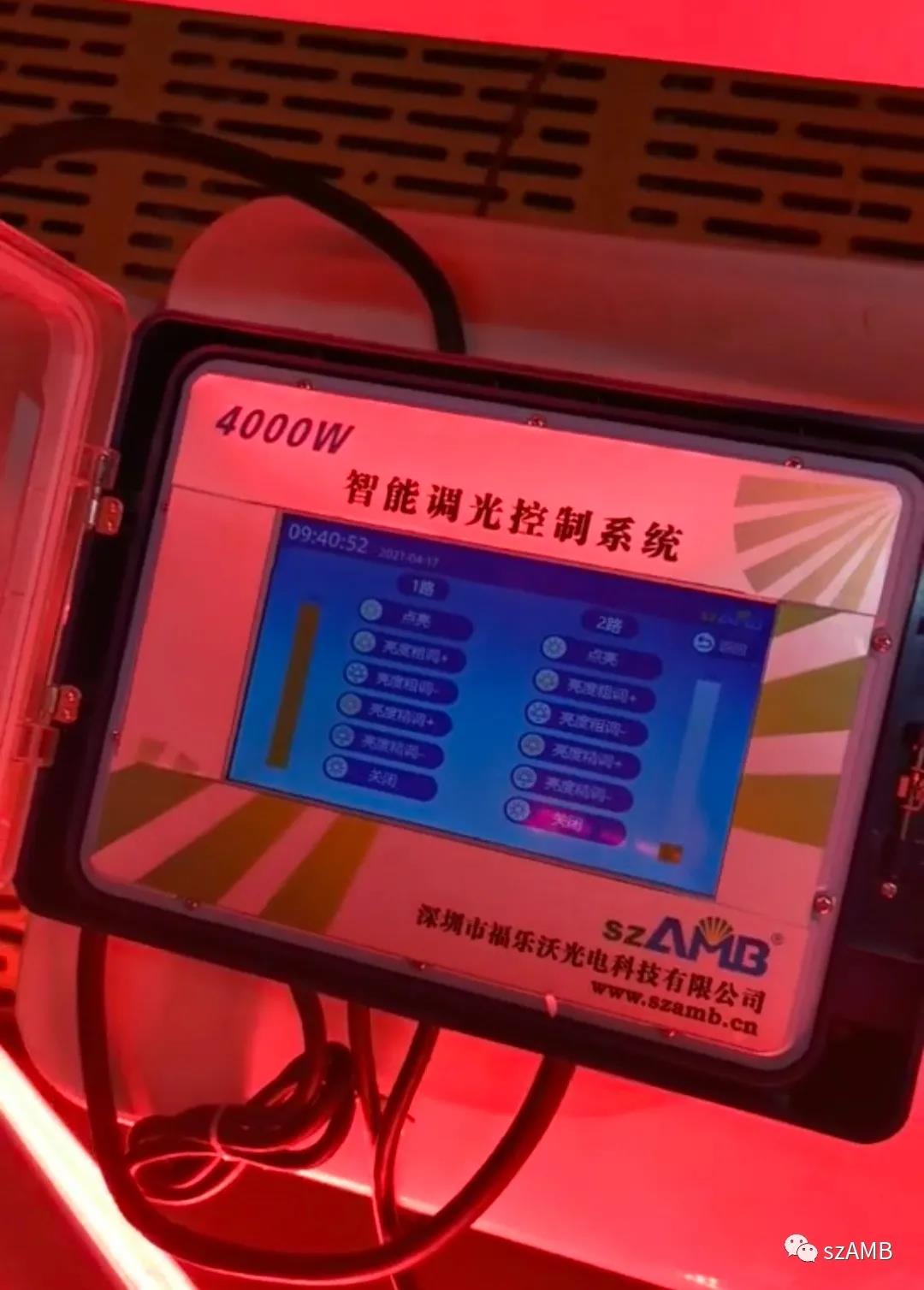紅光 豬場2.jpg